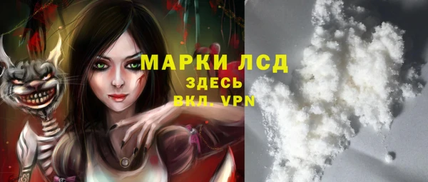 сатива Вяземский