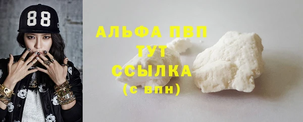 сатива Вяземский