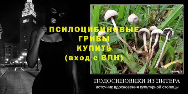 сатива Вяземский