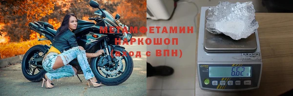 сатива Вяземский
