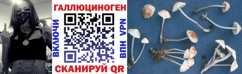 Псилоцибиновые грибы мухоморы  Дигора 